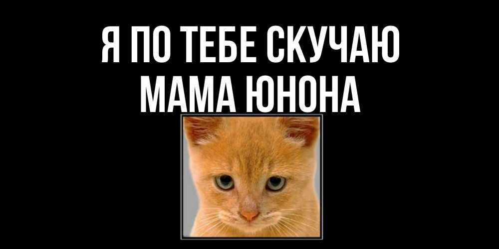 Открытка на каждый день с именем, Мама-Юнона Я по тебе скучаю открытки рыжий котенок скучает по тебе Прикольная открытка с пожеланием онлайн скачать бесплатно 