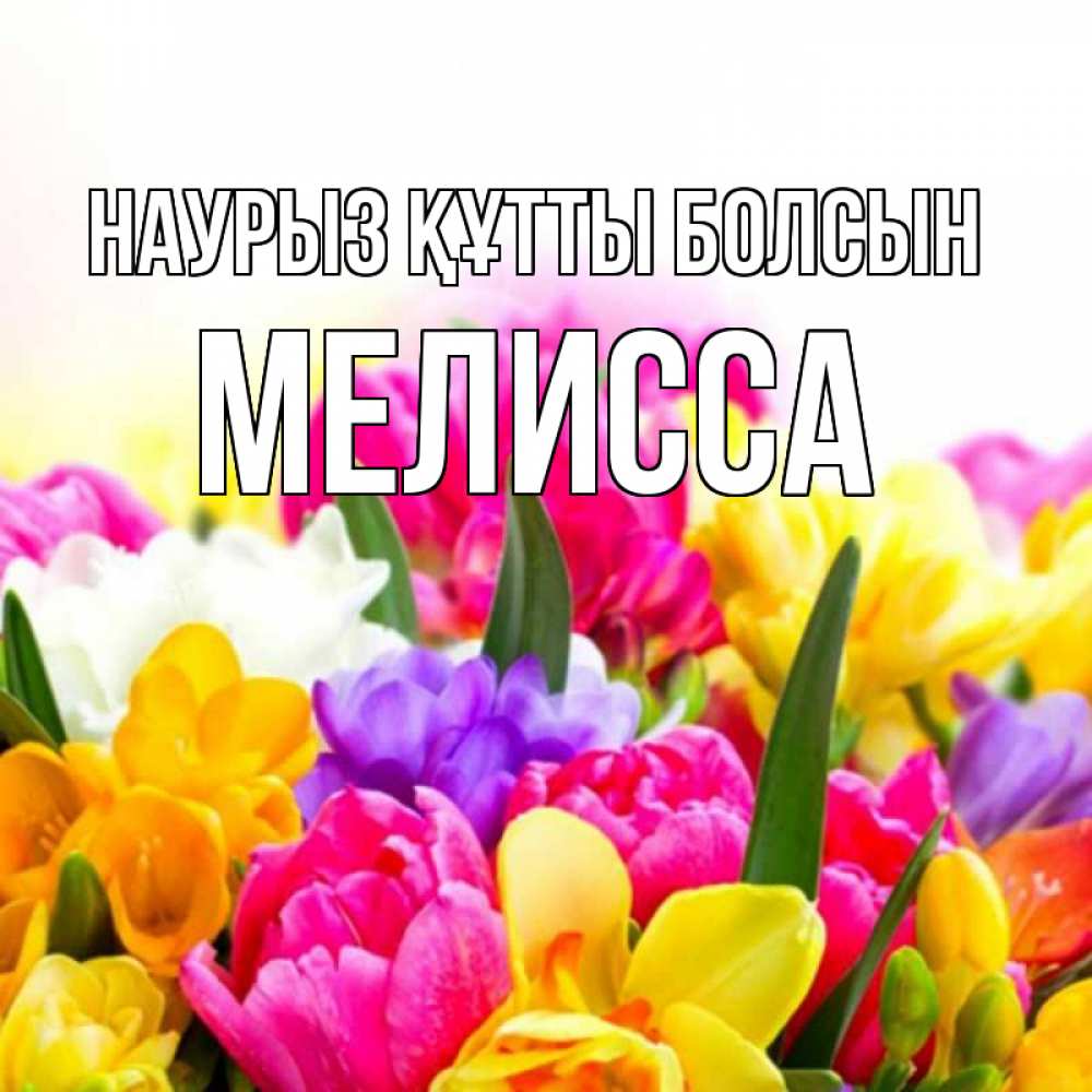 Открытка на каждый день с именем, Мелисса Наурыз құтты болсын тюльпаны Прикольная открытка с пожеланием онлайн скачать бесплатно 