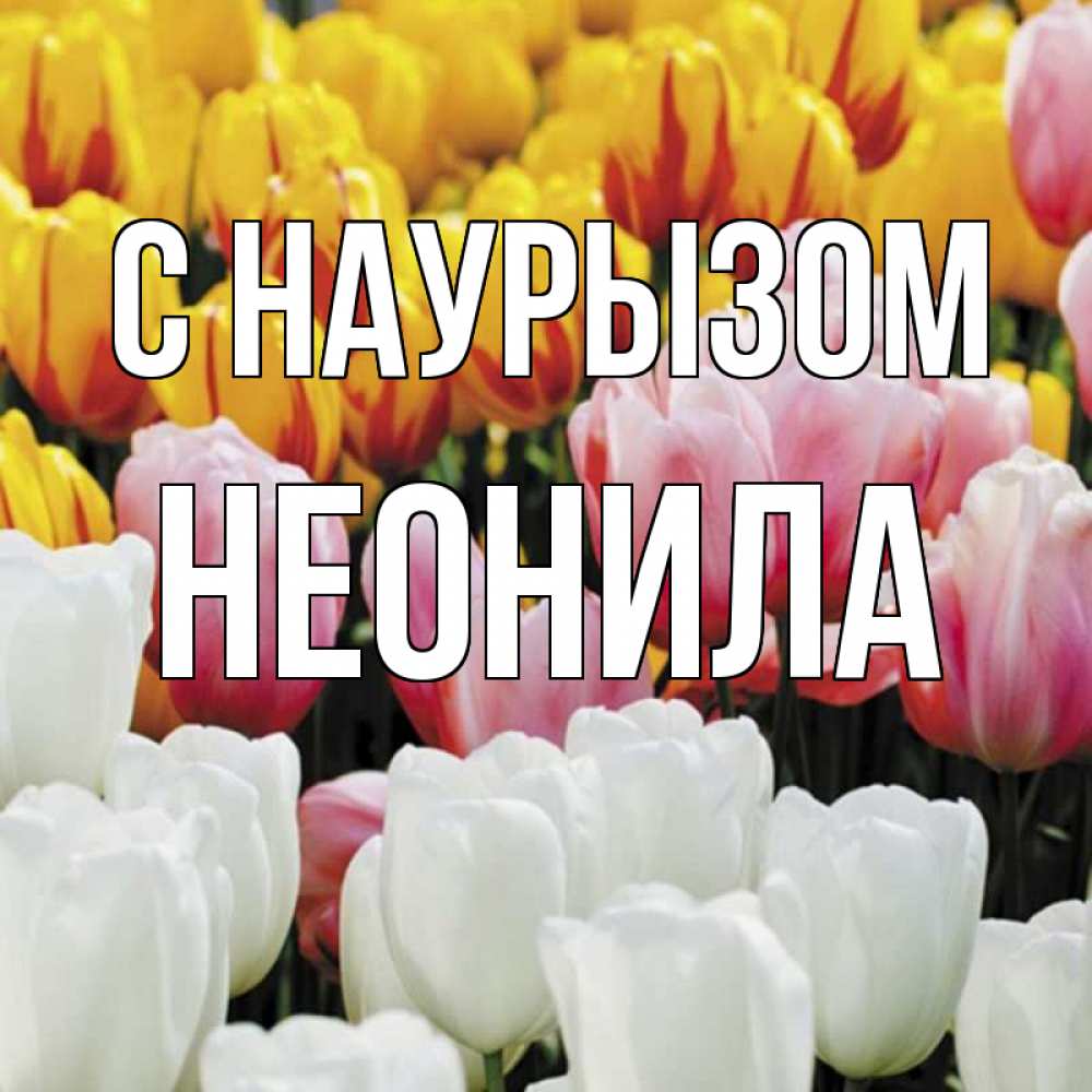 Открытка на каждый день с именем, Неонила С наурызом разноцветные цветы Прикольная открытка с пожеланием онлайн скачать бесплатно 