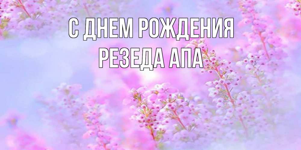 Открытка на каждый день с именем, Резеда-апа С днем рождения красивая открытка с мелкими цветами Прикольная открытка с пожеланием онлайн скачать бесплатно 