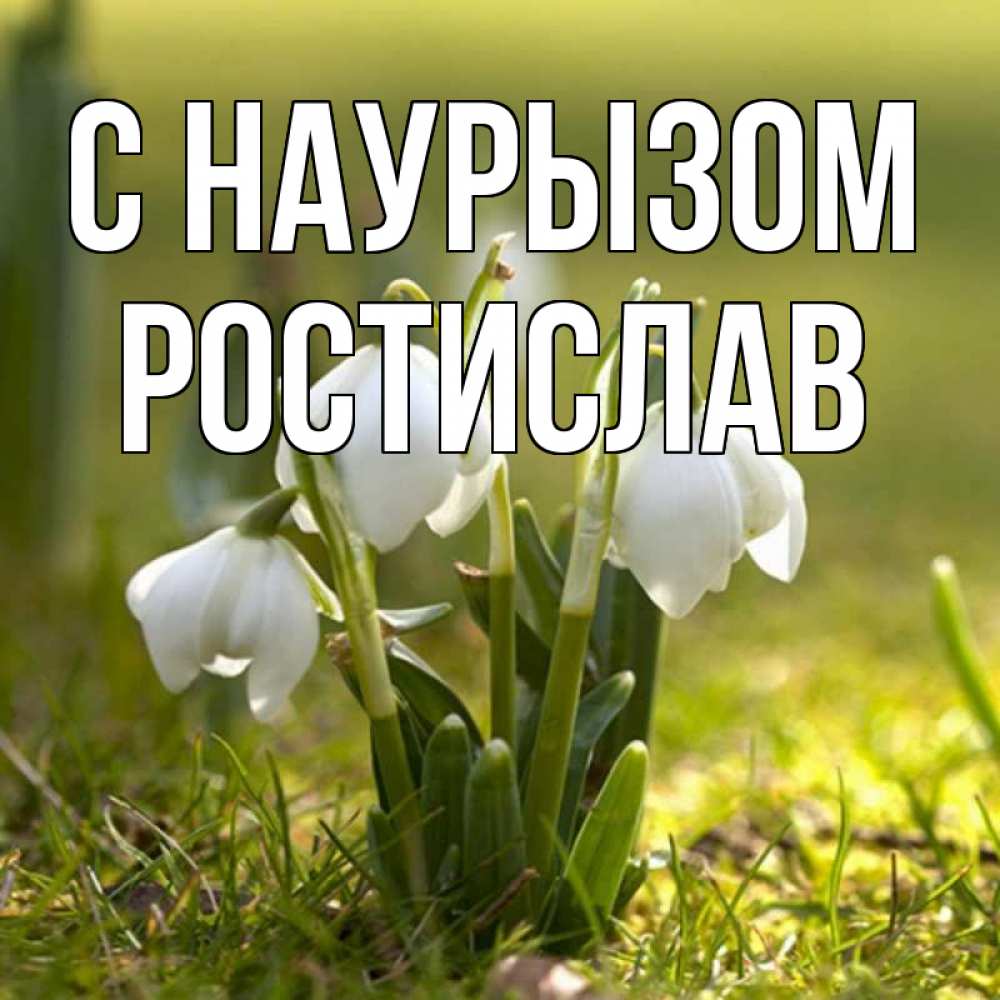 Открытка на каждый день с именем, Ростислав С наурызом ранние цветы 2 Прикольная открытка с пожеланием онлайн скачать бесплатно 
