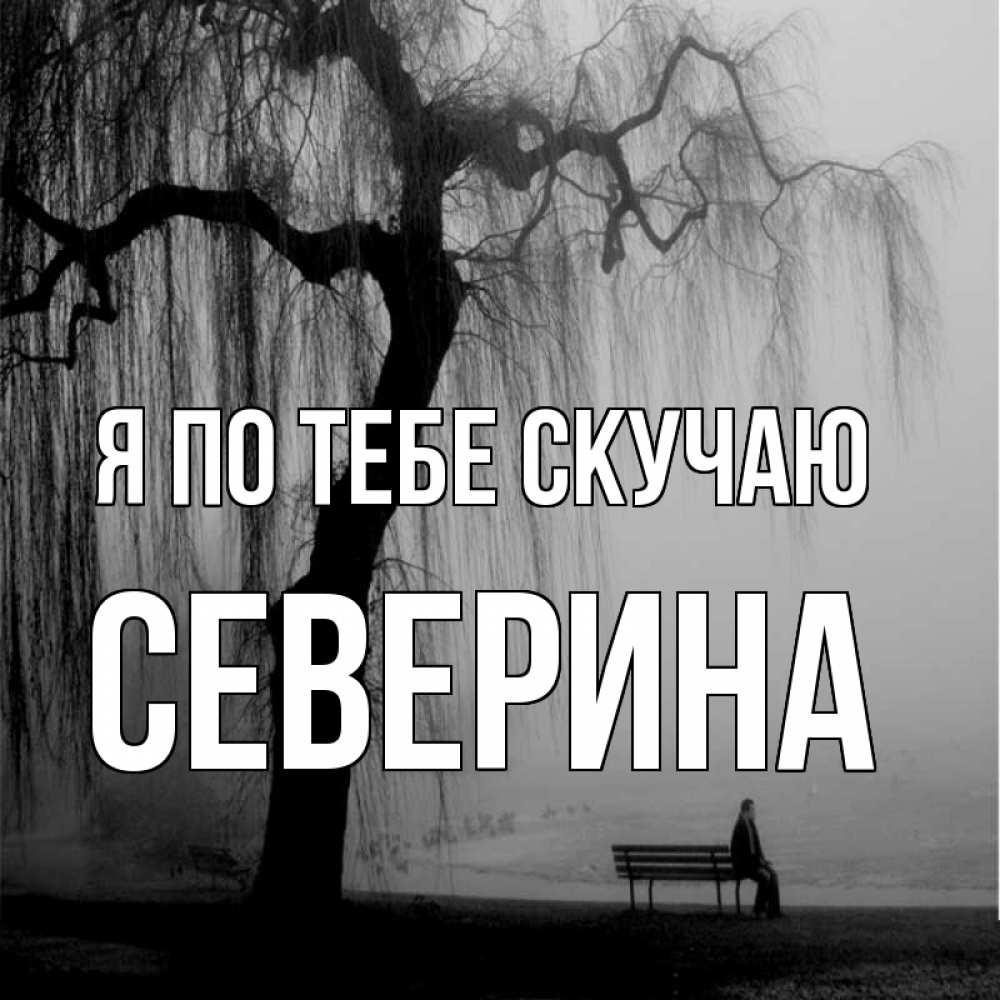 Открытка на каждый день с именем, Северина Я по тебе скучаю лавочка под деревом я жду тебя Прикольная открытка с пожеланием онлайн скачать бесплатно 