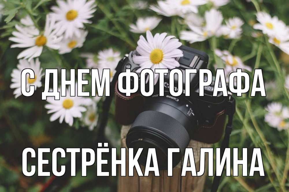 Открытка на каждый день с именем, Сестрёнка-Галина С днем фотографа с днем фотографа Прикольная открытка с пожеланием онлайн скачать бесплатно 