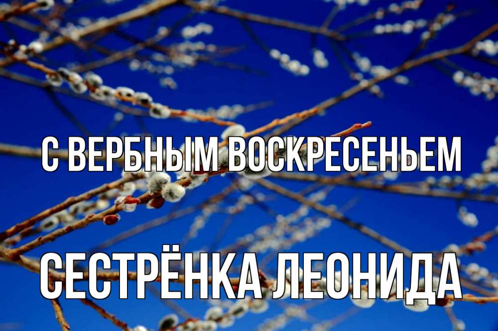 Открытка на каждый день с именем, Сестрёнка-Леонида С вербным воскресеньем верба Прикольная открытка с пожеланием онлайн скачать бесплатно 