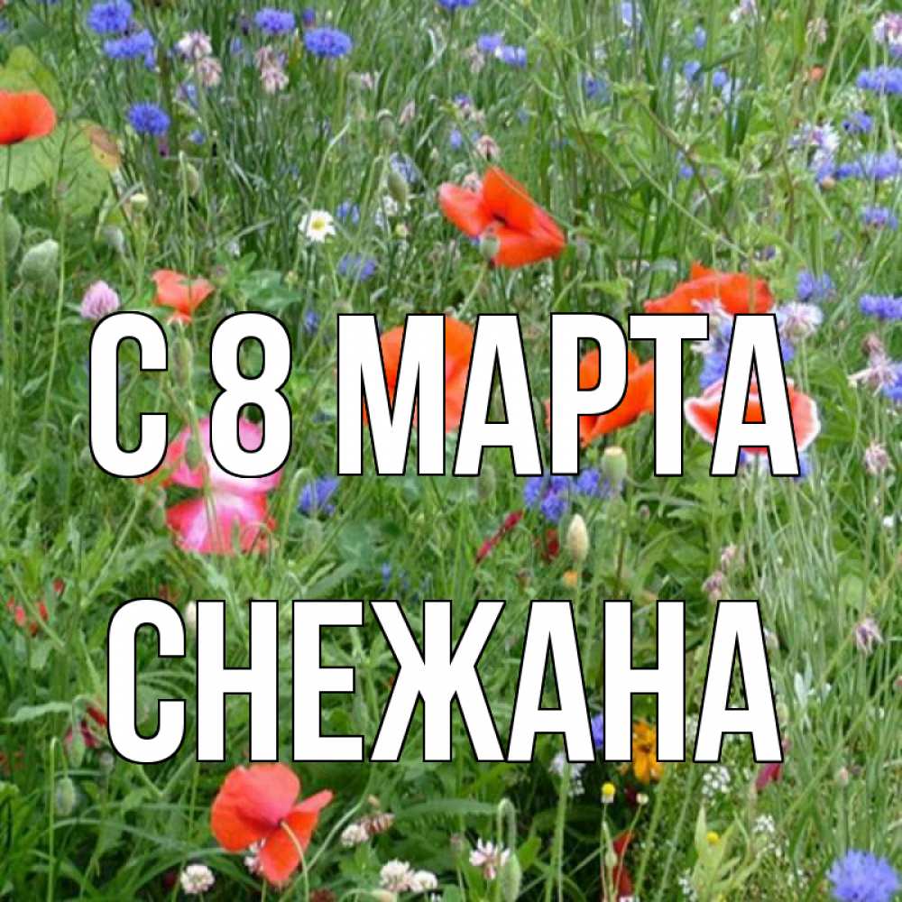 Открытка на каждый день с именем, Снежана С 8 марта международный женский день 4 Прикольная открытка с пожеланием онлайн скачать бесплатно 