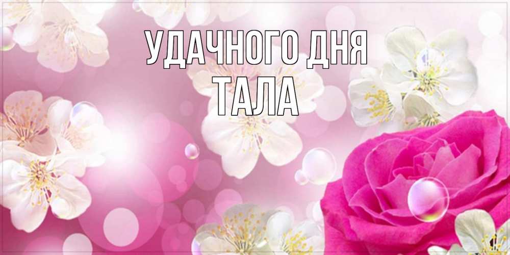 Открытка на каждый день с именем, Тала Удачного дня красивые цветы Прикольная открытка с пожеланием онлайн скачать бесплатно 
