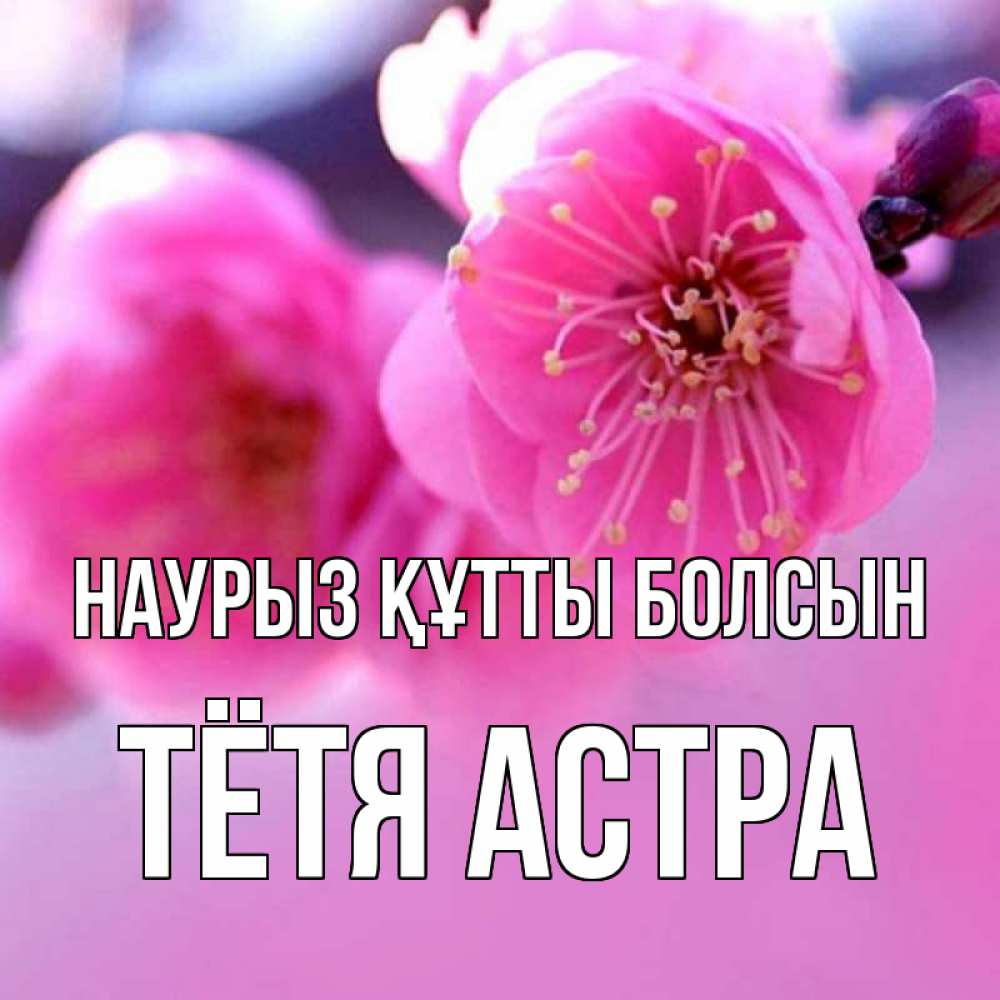 Открытка на каждый день с именем, Тётя-Астра Наурыз құтты болсын наурыз мейрам Прикольная открытка с пожеланием онлайн скачать бесплатно 