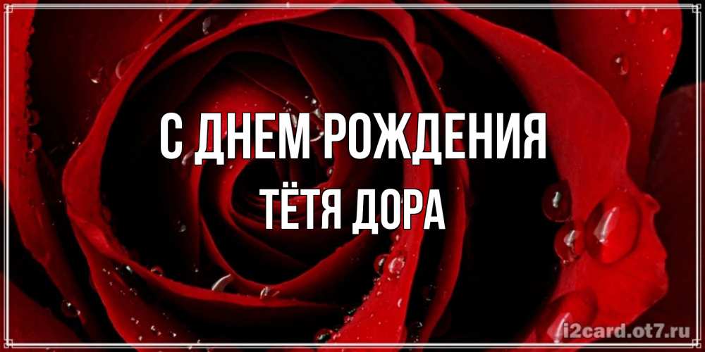 Открытка на каждый день с именем, Тётя-Дора С днем рождения крупная бордовая роза Прикольная открытка с пожеланием онлайн скачать бесплатно 