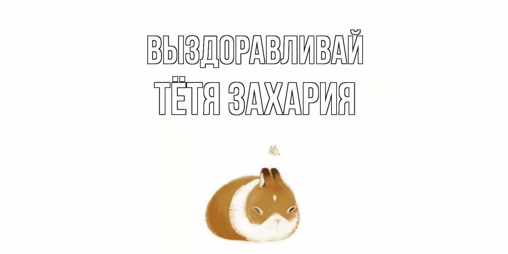 Открытка на каждый день с именем, Тётя-Захария Выздоравливай морская свинка на открытке с пожеланиями не болеть Прикольная открытка с пожеланием онлайн скачать бесплатно 