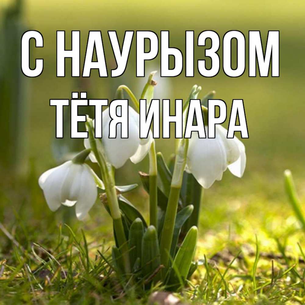 Открытка на каждый день с именем, Тётя-Инара С наурызом ранние цветы 2 Прикольная открытка с пожеланием онлайн скачать бесплатно 