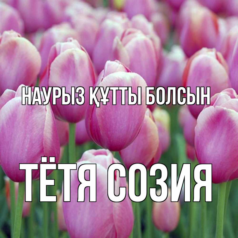 Открытка на каждый день с именем, Тётя-Созия Наурыз құтты болсын на наурыз  день 3 Прикольная открытка с пожеланием онлайн скачать бесплатно 