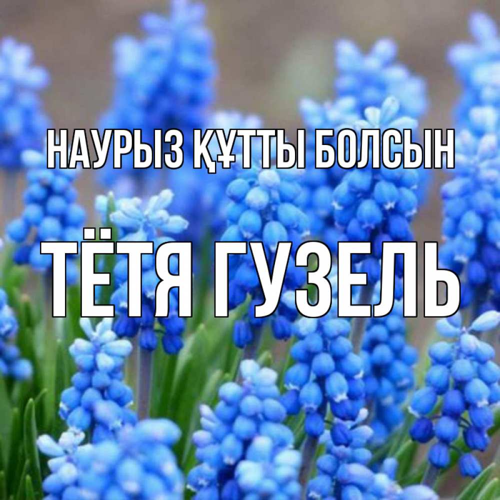 Открытка на каждый день с именем, Тётя-Гузель Наурыз құтты болсын Поздравительная открытка для женщин с цветами на праздничную дату Прикольная открытка с пожеланием онлайн скачать бесплатно 