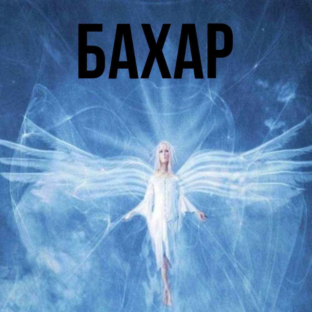 Открытка на каждый день с именем, Бахар Главная голубой фон и крылья как у стрекозы Прикольная открытка с пожеланием онлайн скачать бесплатно 