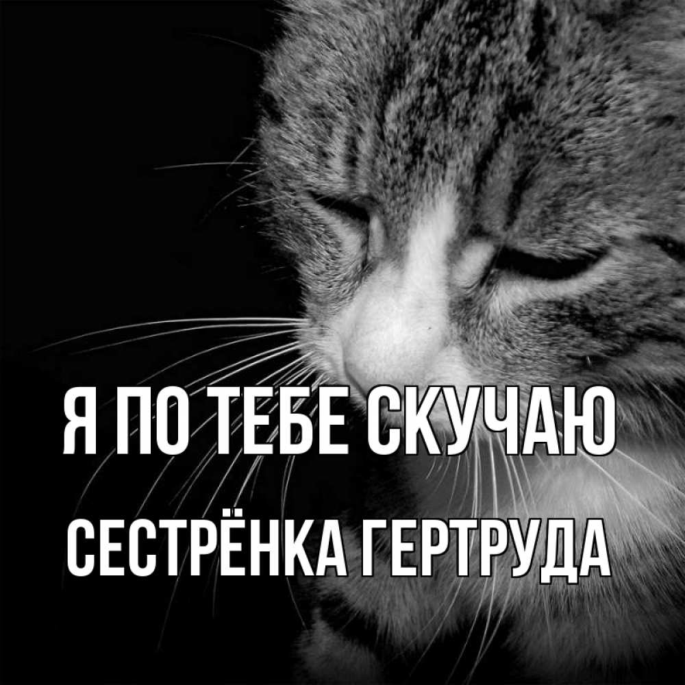 Открытка на каждый день с именем, Сестрёнка-Гертруда Я по тебе скучаю мне скучно Прикольная открытка с пожеланием онлайн скачать бесплатно 
