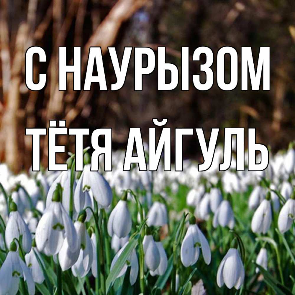 Открытка на каждый день с именем, Тётя-Айгуль С наурызом с подснежниками 1 Прикольная открытка с пожеланием онлайн скачать бесплатно 