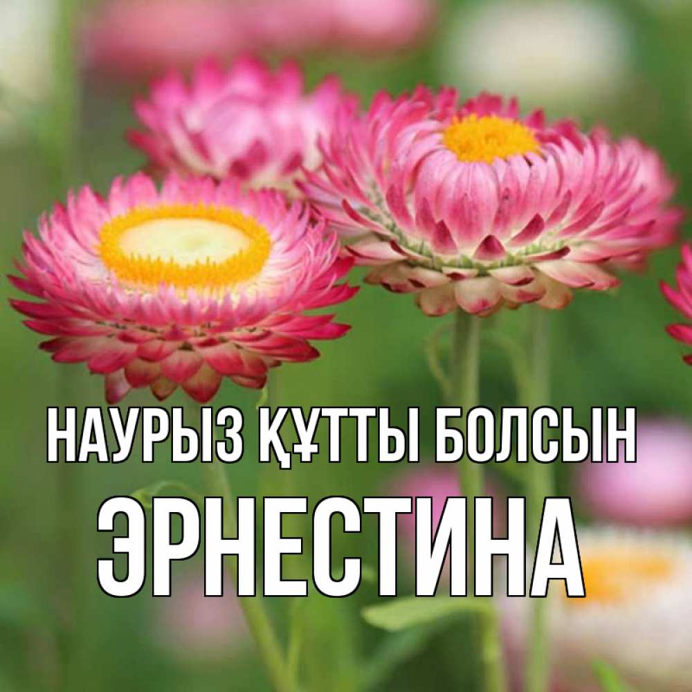 Открытка на каждый день с именем, Эрнестина Наурыз құтты болсын подарок на международный женский день Прикольная открытка с пожеланием онлайн скачать бесплатно 