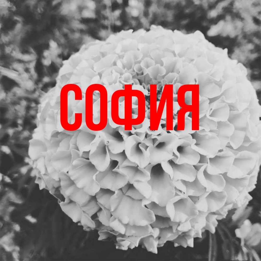 Не пропустите! Звездопад Персеиды считается одним из самых ... ОБО ВСЕМ Фотостра