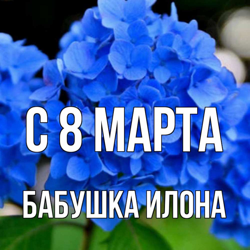 Открытка на каждый день с именем, Бабушка-Илона С 8 марта синие цветы Прикольная открытка с пожеланием онлайн скачать бесплатно 