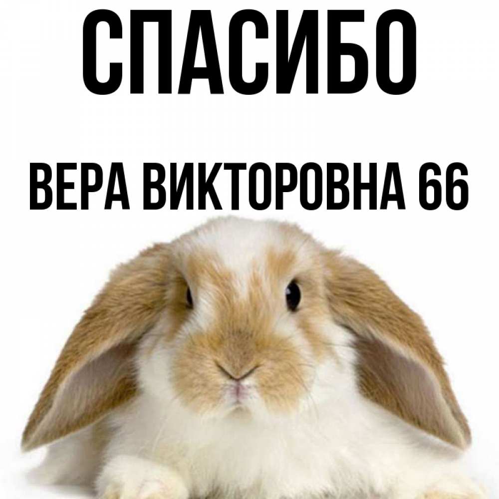 Спасибо Вера