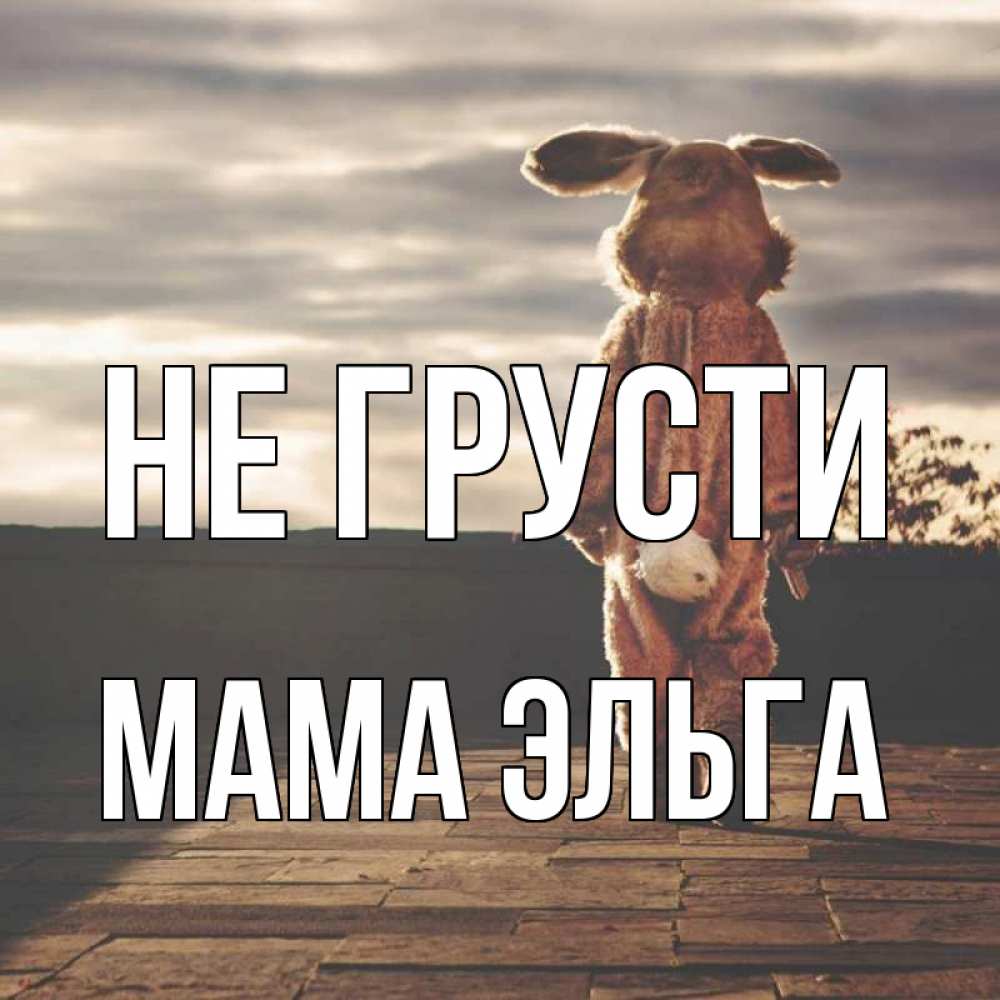 Открытка на каждый день с именем, Мама-Эльга Не грусти со спины Прикольная открытка с пожеланием онлайн скачать бесплатно 