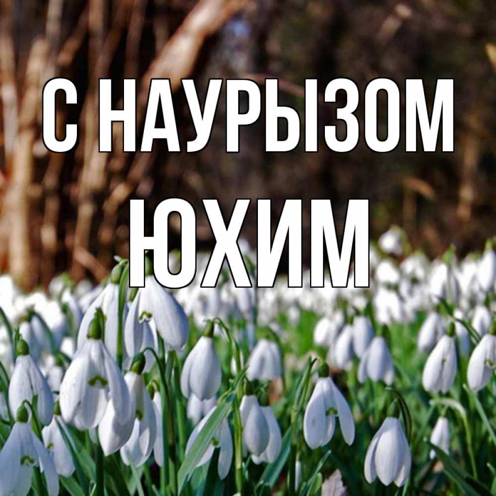 Открытка на каждый день с именем, Юхим С наурызом с подснежниками 1 Прикольная открытка с пожеланием онлайн скачать бесплатно 