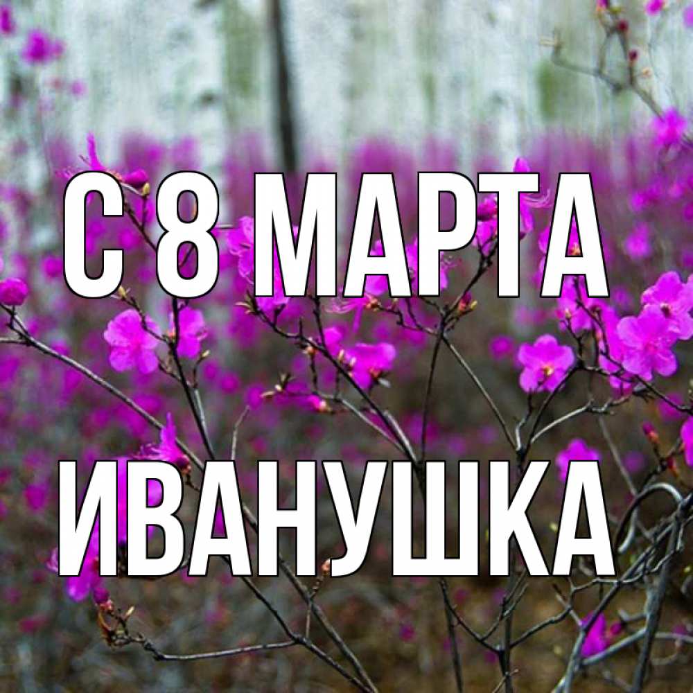Картинка С 8 МАРТА, Иванушка