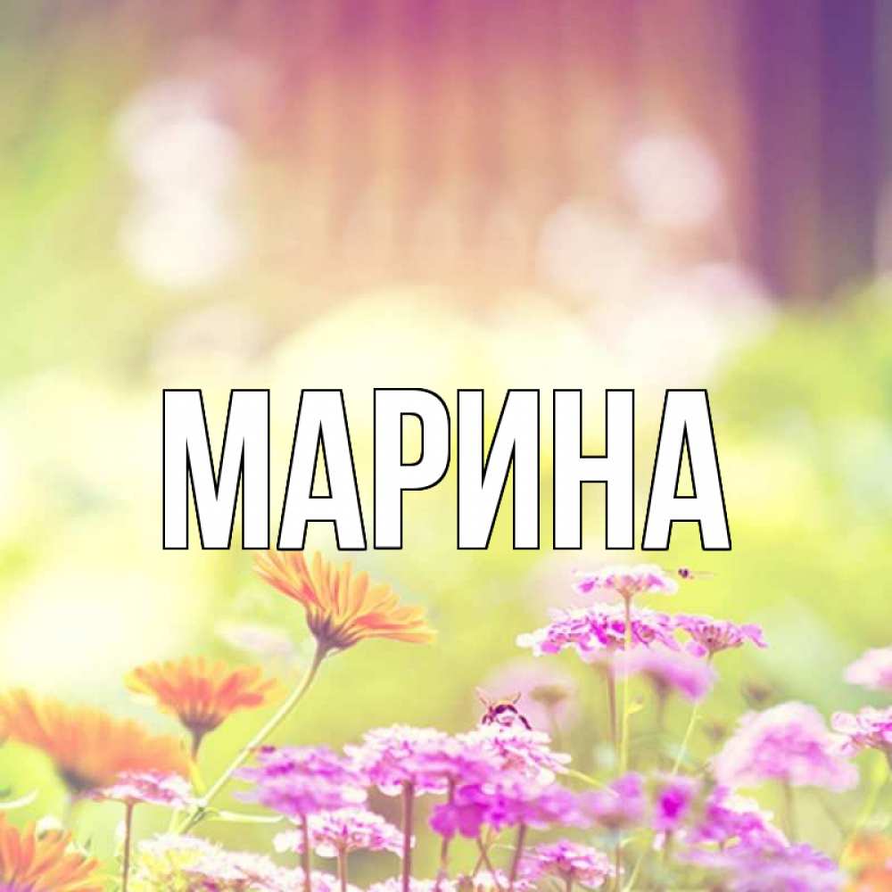 Открытка на каждый день с именем, Марина Главная цветы весна Прикольная открытка с пожеланием онлайн скачать бесплатно 