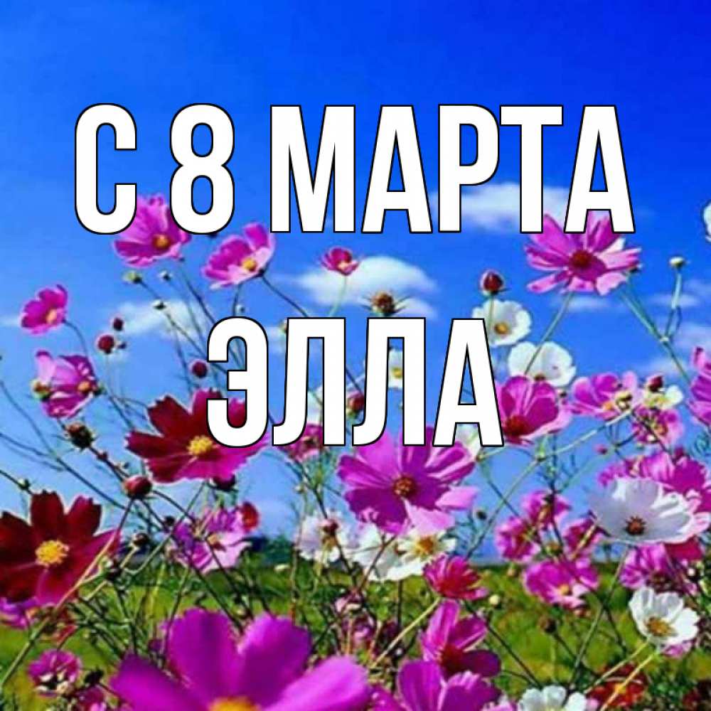 Открытка на каждый день с именем, Элла С 8 МАРТА цветы Прикольная открытка с пожеланием онлайн скачать бесплатно 