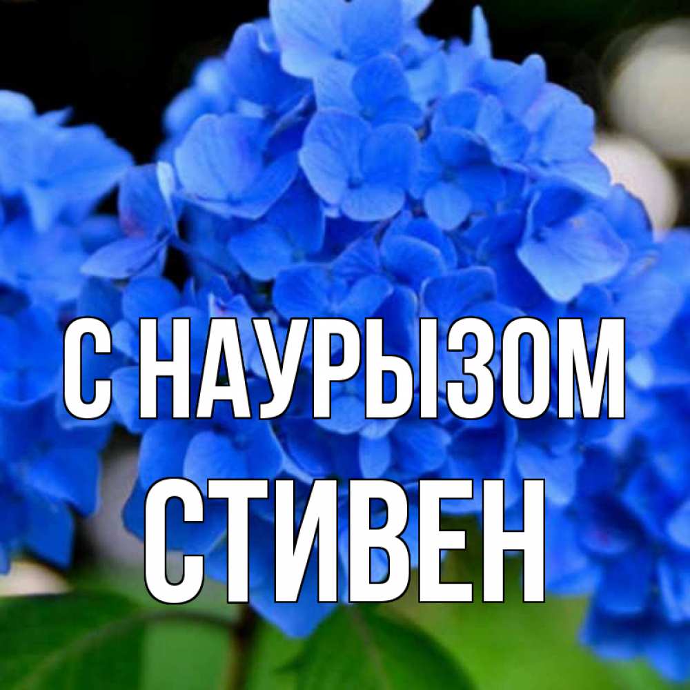 Открытка на каждый день с именем, Стивен С наурызом синие цветы Прикольная открытка с пожеланием онлайн скачать бесплатно 