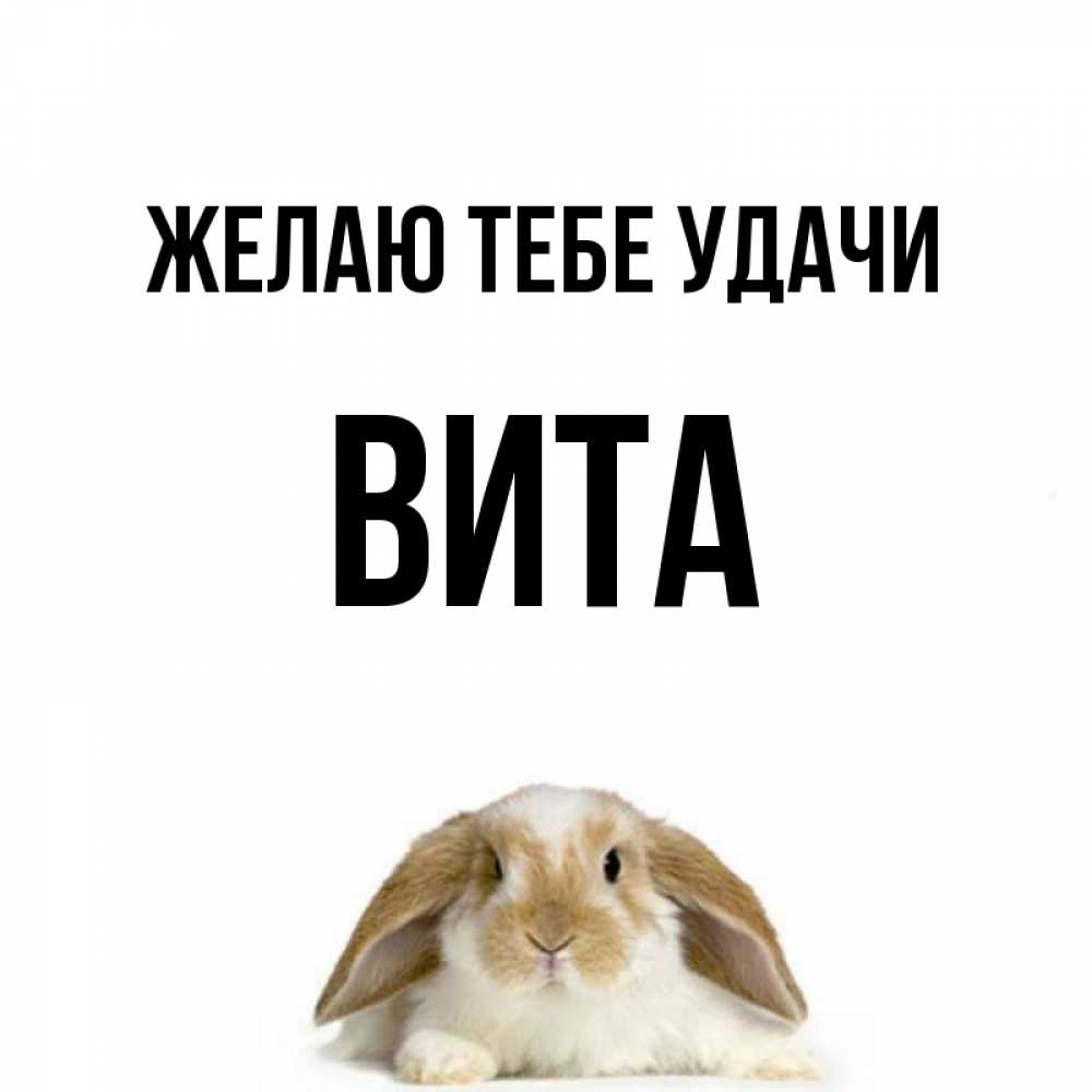 Имя вила