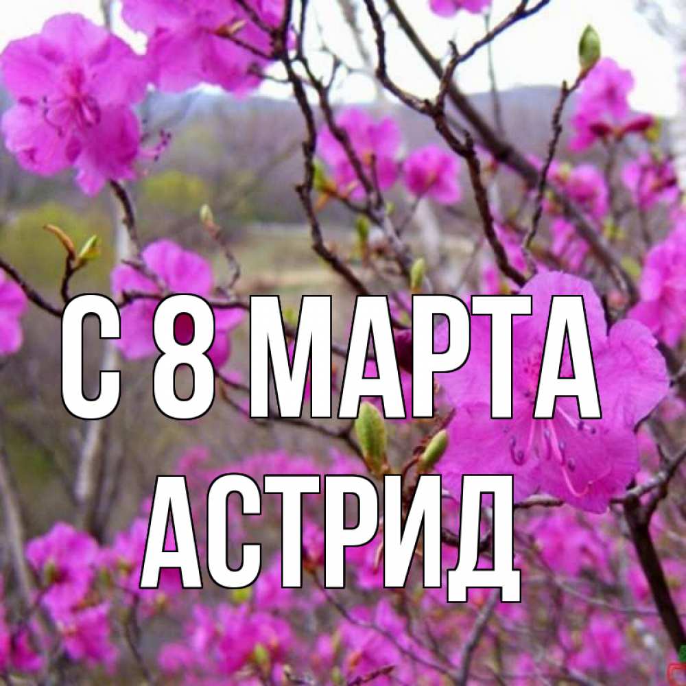 Открытка на каждый день с именем, Астрид С 8 марта международный женский день Прикольная открытка с пожеланием онлайн скачать бесплатно 