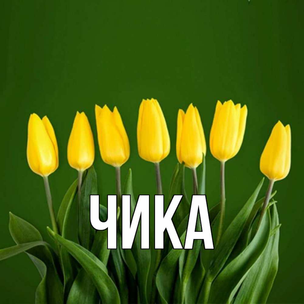 Открытка на каждый день с именем, Чика Главная желтого цвета 3 Прикольная открытка с пожеланием онлайн скачать бесплатно 