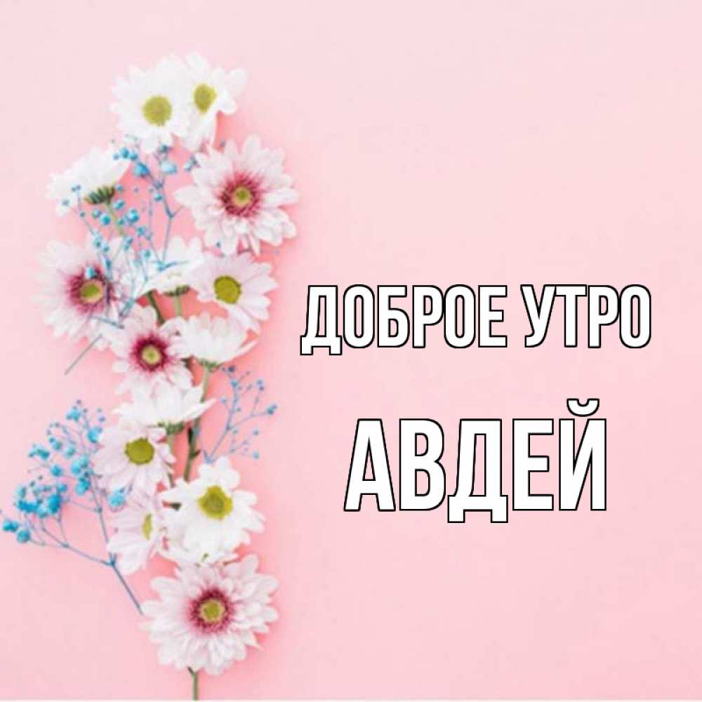 Открытка на каждый день с именем, Авдей Доброе утро цветы с подписью Прикольная открытка с пожеланием онлайн скачать бесплатно 