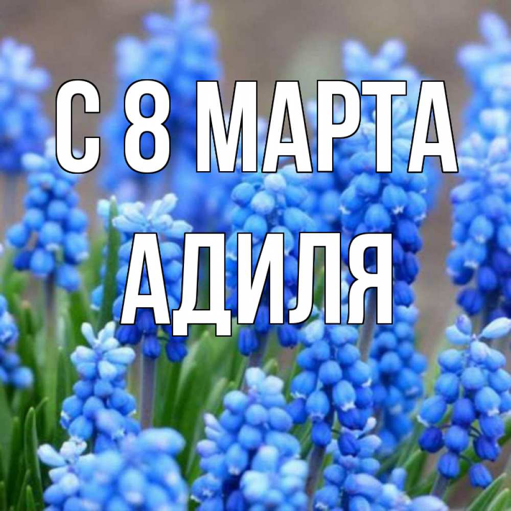 Открытка на каждый день с именем, Адиля С 8 МАРТА Поздравительная открытка для женщин с цветами на праздничную дату Прикольная открытка с пожеланием онлайн скачать бесплатно 