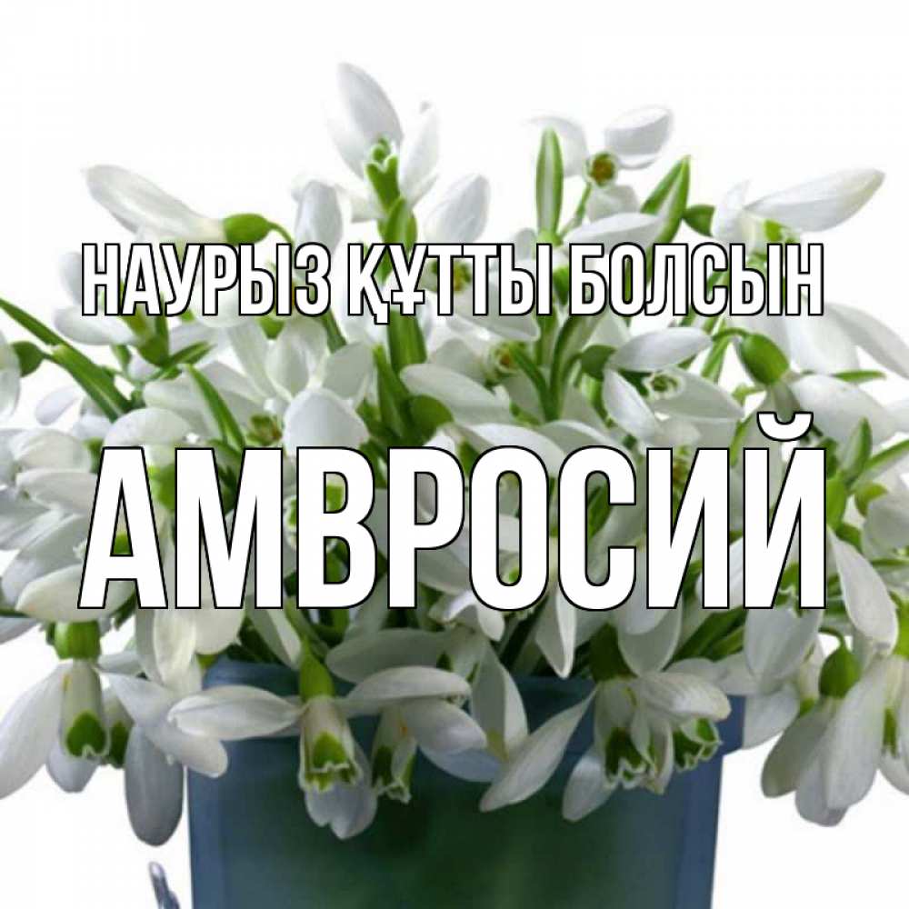 Открытка на каждый день с именем, Амвросий Наурыз құтты болсын цветы к наурызу Прикольная открытка с пожеланием онлайн скачать бесплатно 