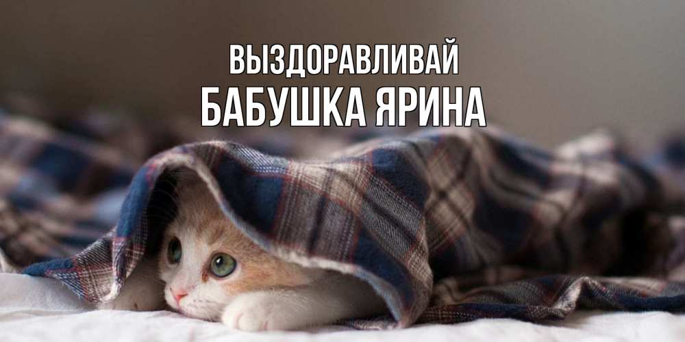 Открытка на каждый день с именем, Бабушка-Ярина Выздоравливай не болейте с котиком Прикольная открытка с пожеланием онлайн скачать бесплатно 