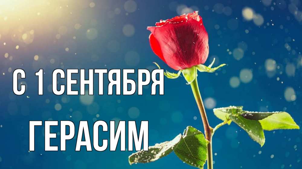 Открытка на каждый день с именем, Герасим С 1 сентября с днем знаний Прикольная открытка с пожеланием онлайн скачать бесплатно 