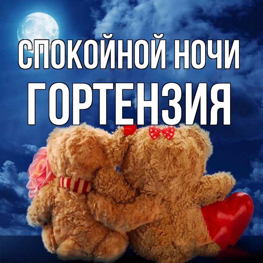 Открытка на каждый день с именем, Гортензия Спокойной ночи плюшевые Прикольная открытка с пожеланием онлайн скачать бесплатно 