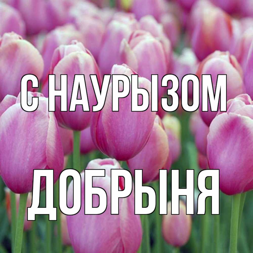 Открытка на каждый день с именем, Добрыня С наурызом праздник весны наурыз 69 Прикольная открытка с пожеланием онлайн скачать бесплатно 