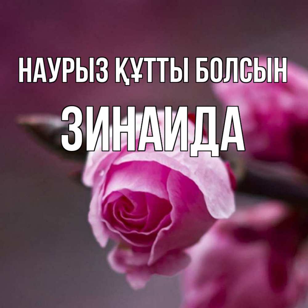 Открытка на каждый день с именем, Зинаида Наурыз құтты болсын весна Прикольная открытка с пожеланием онлайн скачать бесплатно 