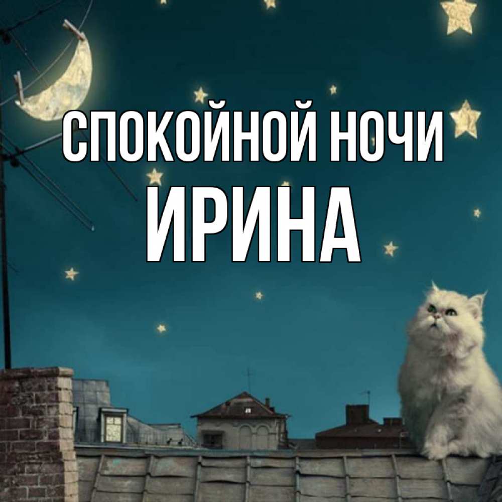 Открытка на каждый день с именем, Ирина Спокойной ночи белый кот сидит на крыше Прикольная открытка с пожеланием онлайн скачать бесплатно 