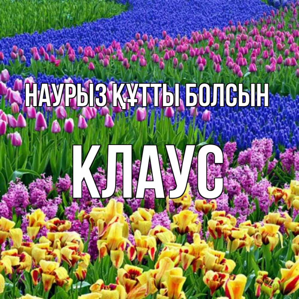 Открытка на каждый день с именем, Клаус Наурыз құтты болсын цветы Прикольная открытка с пожеланием онлайн скачать бесплатно 