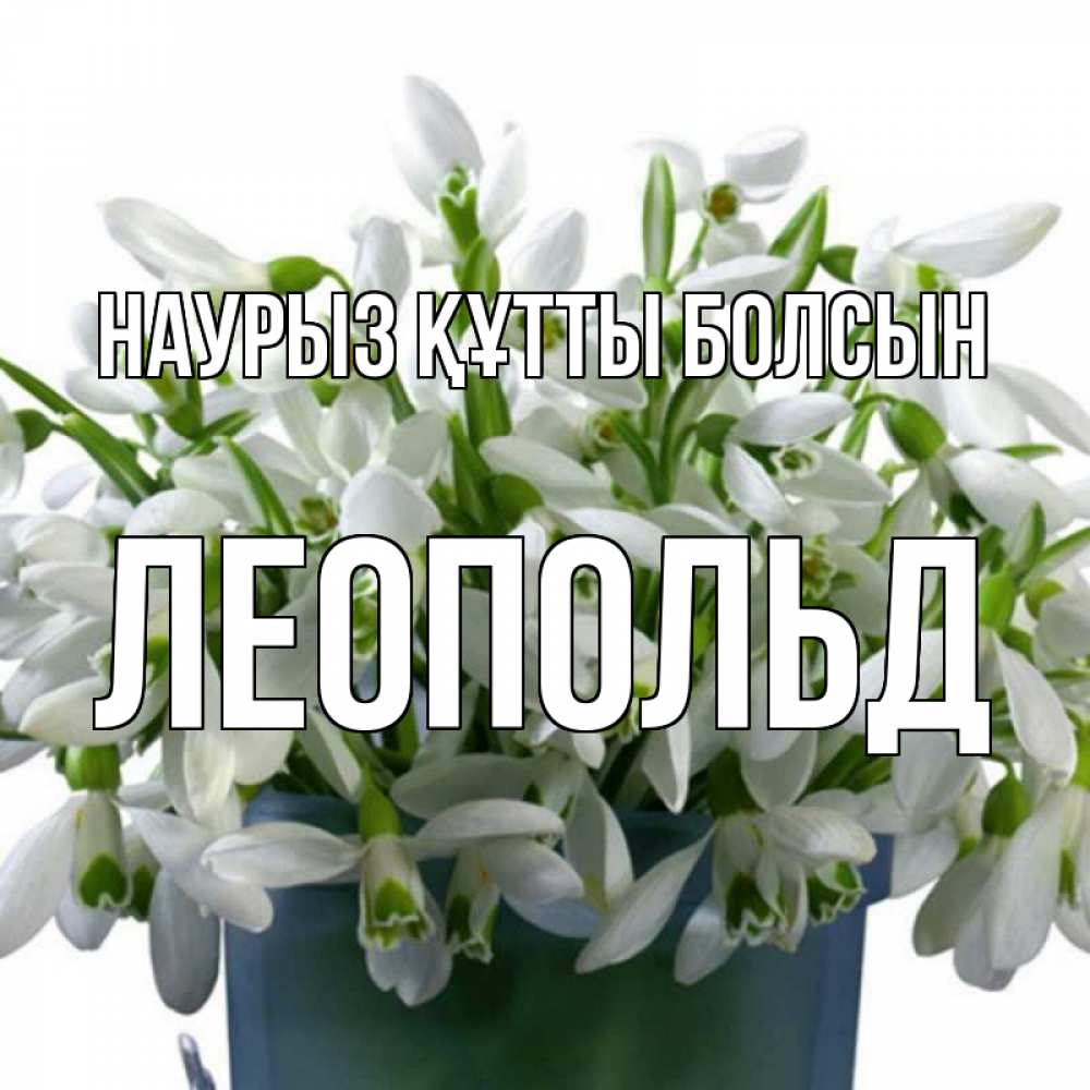 Открытка на каждый день с именем, Леопольд Наурыз құтты болсын цветы к наурызу Прикольная открытка с пожеланием онлайн скачать бесплатно 