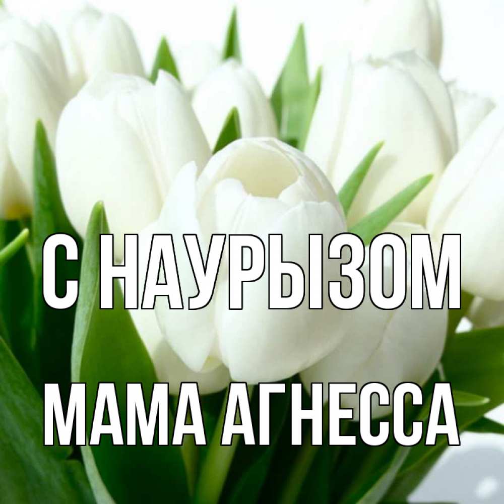 Открытка на каждый день с именем, Мама-Агнесса С наурызом цветы Прикольная открытка с пожеланием онлайн скачать бесплатно 