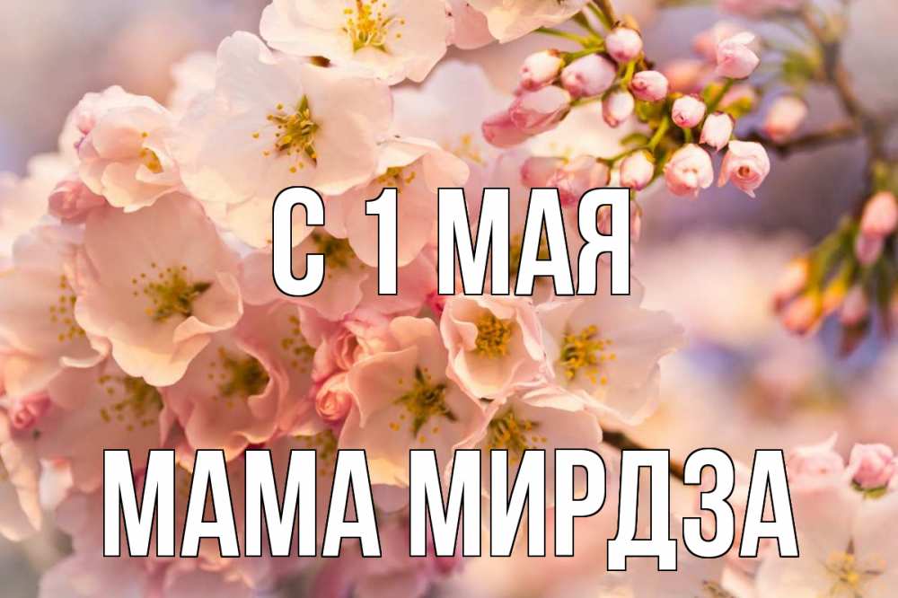 Открытка на каждый день с именем, Мама-Мирдза С 1 мая С 1 мая Прикольная открытка с пожеланием онлайн скачать бесплатно 