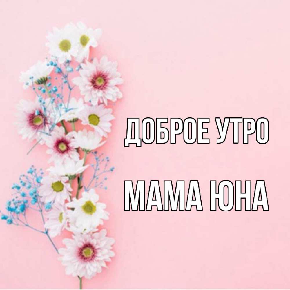 Открытка на каждый день с именем, Мама-Юна Доброе утро цветы с подписью Прикольная открытка с пожеланием онлайн скачать бесплатно 