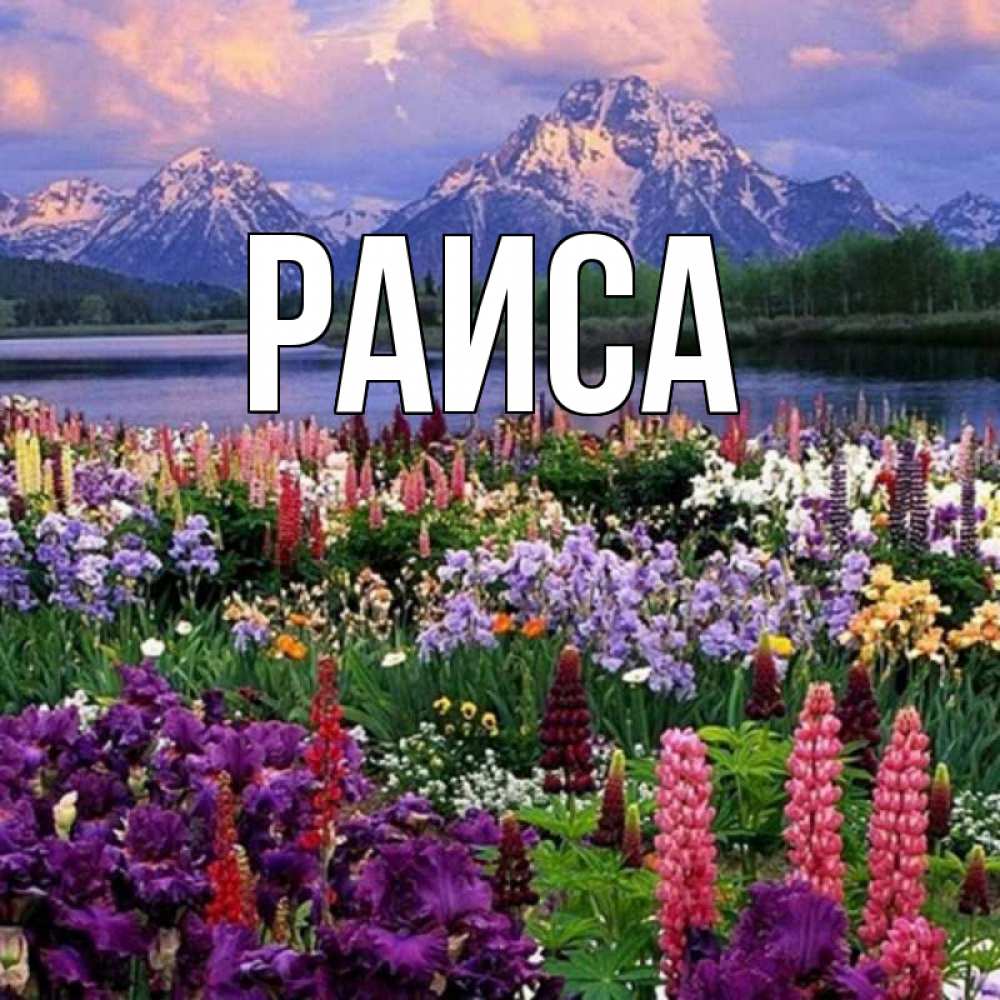 Открытка на каждый день с именем, Раиса Главная праздник весны наурыз Прикольная открытка с пожеланием онлайн скачать бесплатно 