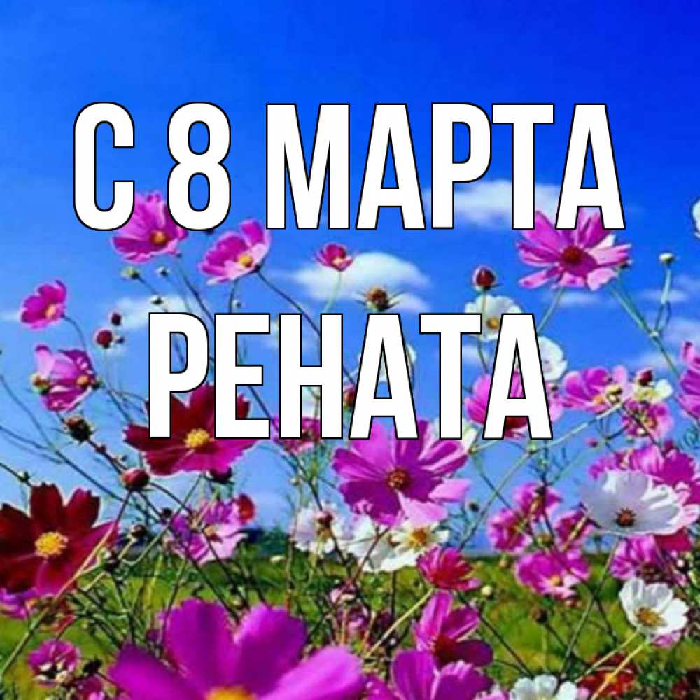 Открытка на каждый день с именем, Рената С 8 МАРТА цветы Прикольная открытка с пожеланием онлайн скачать бесплатно 