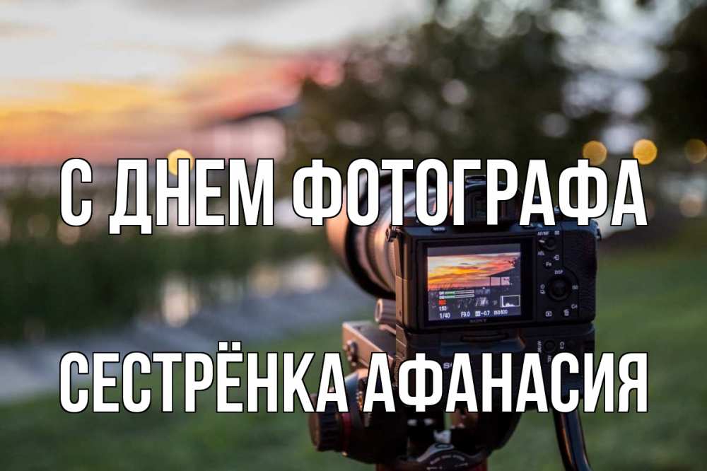 Открытка на каждый день с именем, Сестрёнка-Афанасия С днем фотографа с днем фотографа Прикольная открытка с пожеланием онлайн скачать бесплатно 