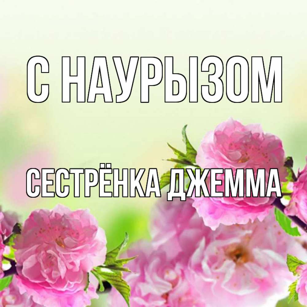 Открытка на каждый день с именем, Сестрёнка-Джемма С наурызом цветы Прикольная открытка с пожеланием онлайн скачать бесплатно 
